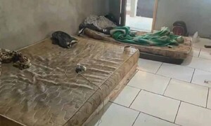 Rescatan a nueve paraguayos en situación de esclavitud de una plantación de mandioca en Brasil – Prensa 5
