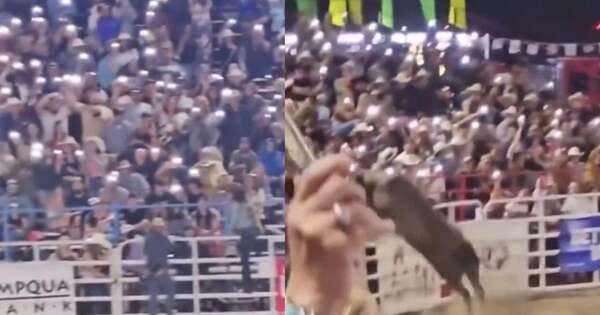 Diario HOY | VIDEO| Un toro salta fuera de la arena de rodeo y embiste a los espectadores
