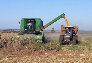 Frenada de venta de soja en Brasil favorecerá a productores locales - Megacadena - Diario Digital