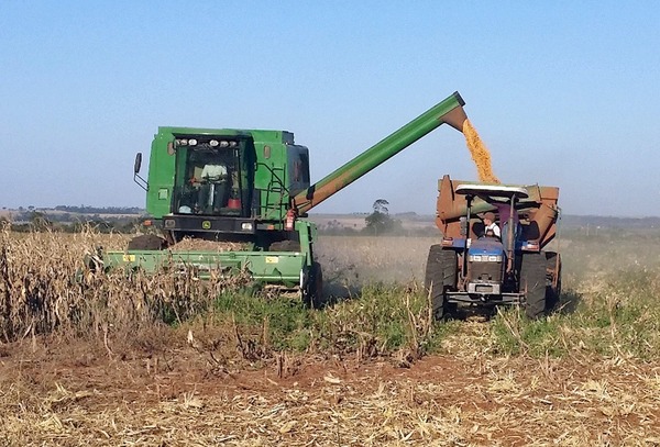 Frenada de venta de soja en Brasil favorecerá a productores locales - Megacadena - Diario Digital
