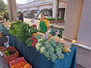 Tomate: otra semana más con el precio por las nubes en los comercios mientras en ferias ofertan a G. 15.000 - Nacionales - ABC Color
