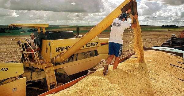 La Nación / Trabas fiscales a sojeros en Brasil benefician a productores paraguayos, explica economista