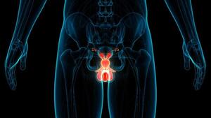DÍA MUNDIAL DEL CÁNCER DE PRÓSTATA