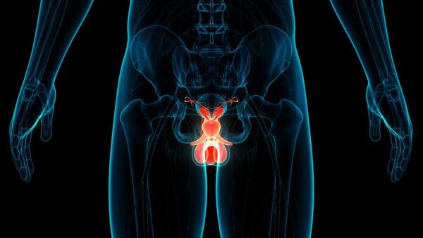 DÍA MUNDIAL DEL CÁNCER DE PRÓSTATA