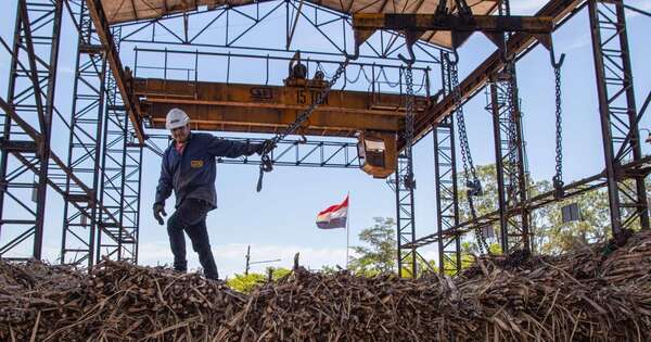 La Nación / Cañicultores apuntan a abastecer a Petropar con 20 millones de litros de alcohol