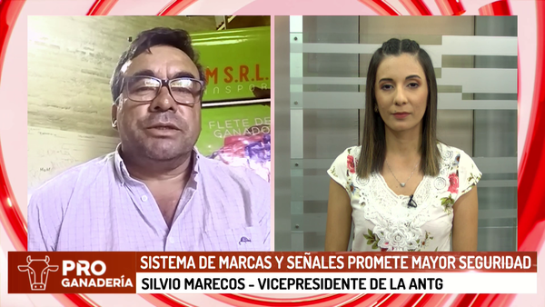 Reglamento de la UE preocupa a productores de Alto Paraná - Megacadena - Diario Digital