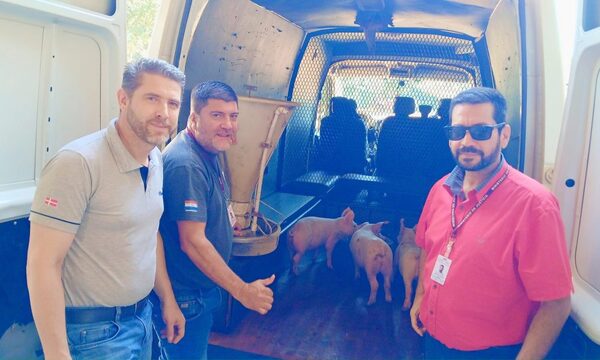 Donan cerdos y preparan plan para producción en cárcel de menores