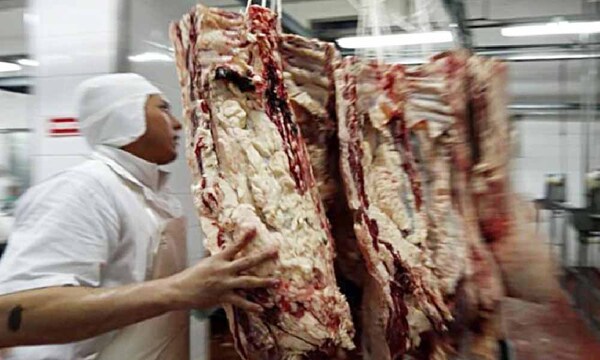 Primer cargamento de carne a Canadá partirá el viernes – Prensa 5