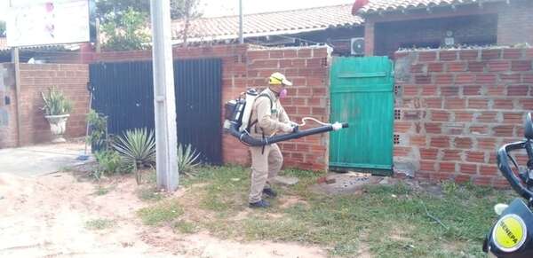 Significativa disminución de casos de dengue en Misiones - Nacionales - ABC Color