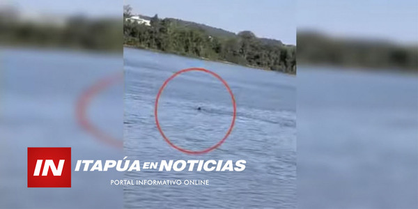 NADADORA FUE DETENIDA POR INTENTAR CRUZAR DE MANERA ILEGAL EL RÍO PARANÁ - Itapúa Noticias