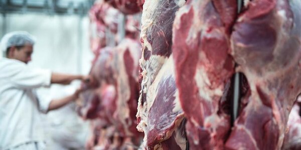 Ajustan detalles para el primer envío de carne paraguaya a Canadá