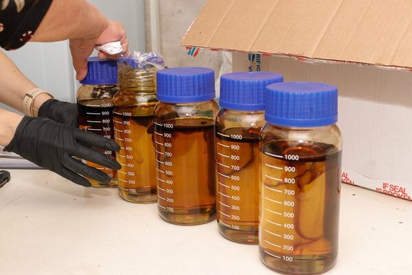 SENAD incauta gel concentrado de Marihuana procedente de Miami