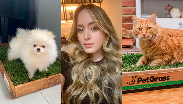 PetGrass, un emprendimiento ideado para el bienestar de las mascotas que viven en departamentos