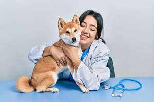 Mascotas: Abrazar a tu perro puede causarle estrés y ansiedad - Mascotas - ABC Color
