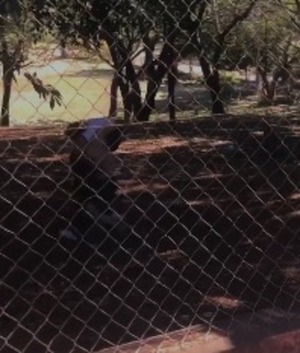 Pelea en predio de colegio en Minga Guazú