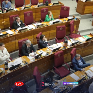 SENADO DA MEDIA SANCIÓN PARA ELEVAR A 10 AÑOS DE CÁRCEL LA SUSTRACCIÓN DE ENERGÍA ELÉCTRICA. - TVS