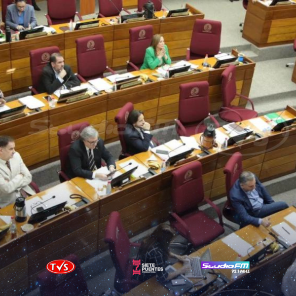 SENADO DA MEDIA SANCIÓN PARA ELEVAR A 10 AÑOS DE CÁRCEL LA SUSTRACCIÓN DE ENERGÍA ELÉCTRICA. - TVS