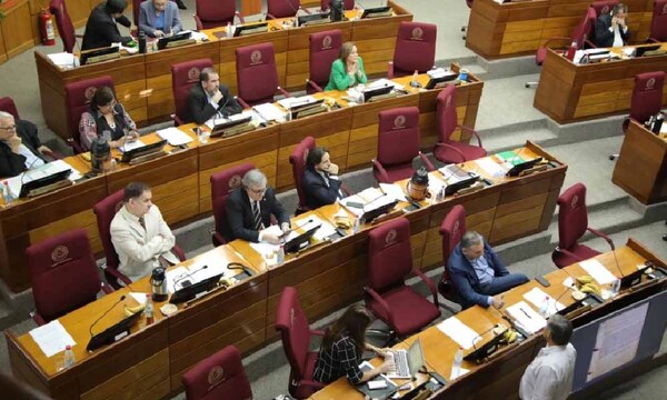 Senado da media sanción para elevar a 10 años de cárcel la sustracción de energía eléctrica – Prensa 5