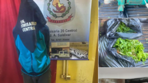 Se suspende la ensalada: Cae ladrón de lechugas en J. Augusto Saldívar