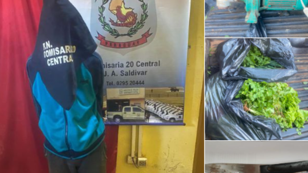 Se suspende la ensalada: Cae ladrón de lechugas en J. Augusto Saldívar