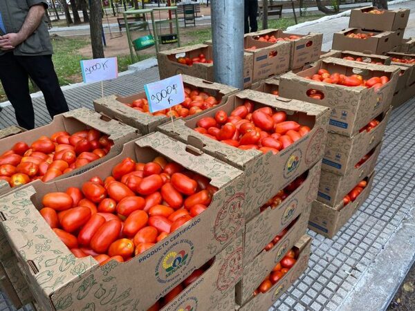 Ministro del MAG mantendrá conversación sobre precios de tomate con supermercadistas - El Independiente