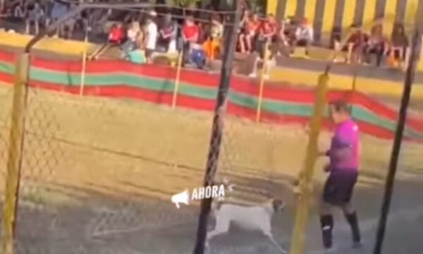 Jagua reclamó puesto al línea en un partido de fútbol