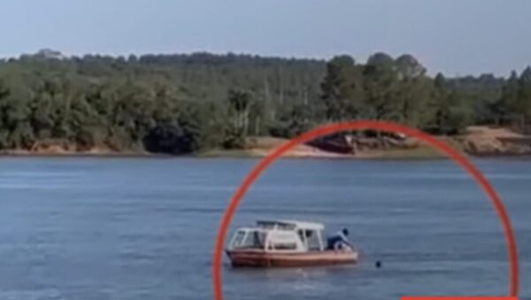 Rescatan a yiyi que intentaba cruzar por el Río Paraná nadando