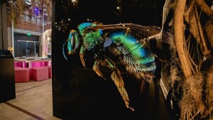 El Museo de Ciencias propone diversas actividades