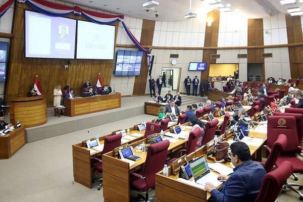 Diputados resuelven pedir informes a MINNA sobre fallecimiento de niña supuestamente abusada en Carlos Antonio López - Política - ABC Color