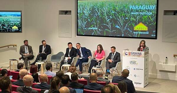 La Nación / Exponen potencial del maíz paraguayo ante el Consejo Internacional de Granos