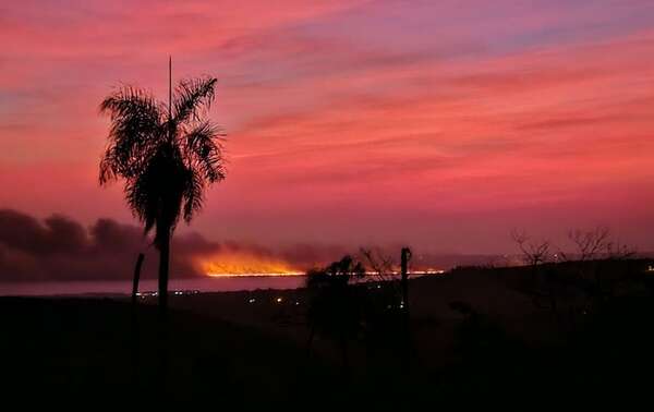 Reportan incendio de mediana magnitud en Ypacaraí - Nacionales - ABC Color