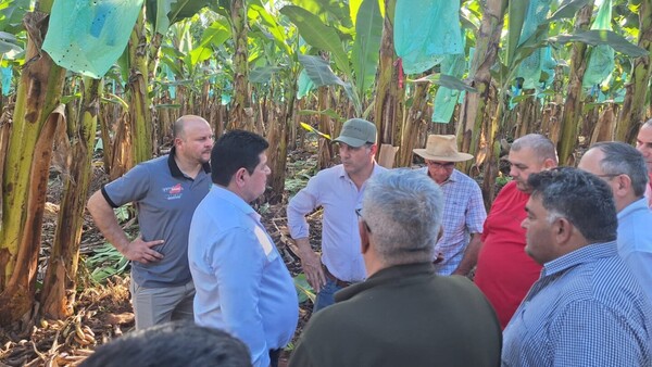 Capacitarán a productores de banana en Tembiaporã