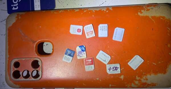 Diario HOY | Pornografía infantil: varias evidencias requisadas, pero ningún detenido