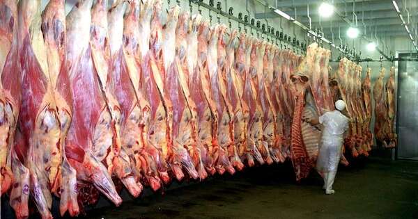La Nación / Prevén enviar unas 3.000 toneladas de carne a Canadá