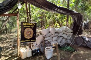 Desbaratan casi 7 toneladas de marihuana en Amambay - El Independiente