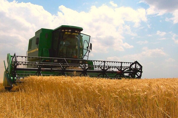 Exportación de trigo genera más de USD 108 millones en el 2023, Según datos del BCP