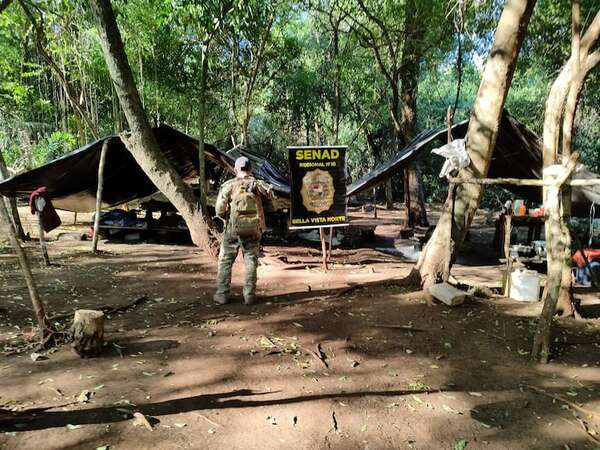 Eliminan varios “campamentos narcos” detectados en Amambay - Policiales - ABC Color
