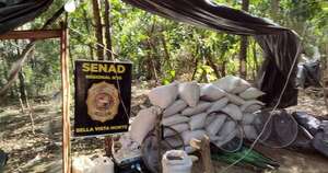 Diario HOY | Destruyen narcocampamentos en Amambay