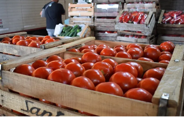 Importadores de tomate se desayunaron con restricción impuesta por SENAVE