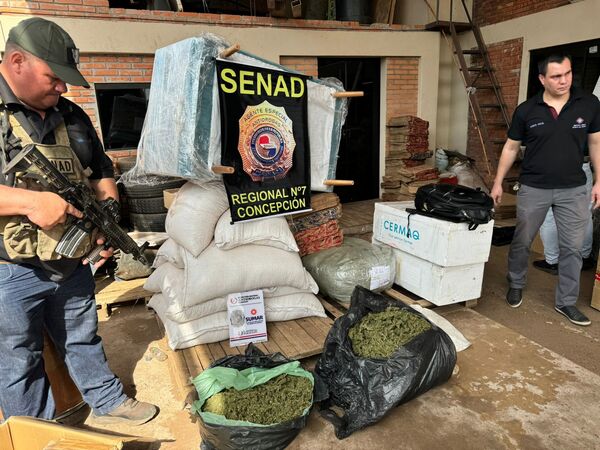 SENAD Intercepta Importante Carga de Marihuana en Empresa de Encomiendas en Concepción