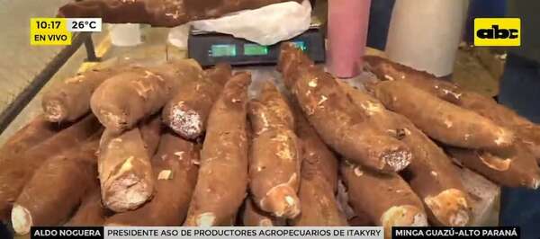 Desde hoy productores de mandioca de Itakyry venden al consumidor final sin intermediarios - ABC en el Este - ABC Color