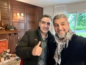 TSJE confirma expulsión de Soria, detractor de Horacio Cartes - Política - ABC Color