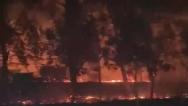 Incendio forestal casi afecta a cinco viviendas en Ybycuí