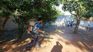Fumigan y eliminan criaderos de mosquitos en Villa Elisa - Nacionales - ABC Color
