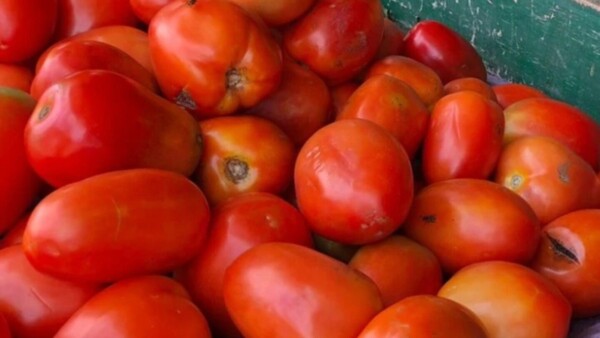 Sorpresiva restricción para importar tomate desde ayer