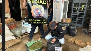 Desde Concepción intentaron enviar drogas para Asunción, vía encomiendas. Senad interceptó