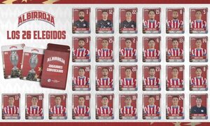 Ganero definió la lista para la Copa América