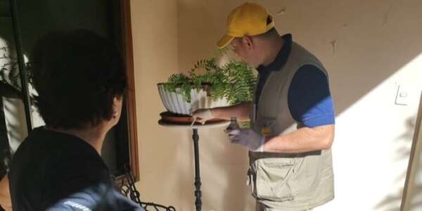 Continúan mingas para eliminar criaderos de mosquitos en Asunción - Nacionales - ABC Color