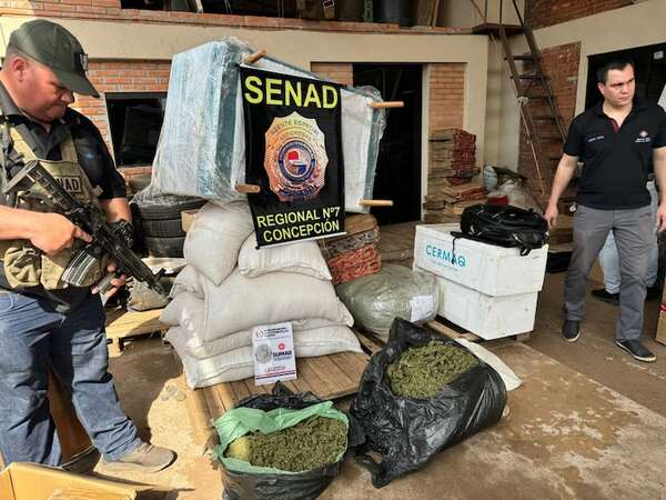 Interceptan marihuana tipo “skunk” que tenía como destino Asunción - Policiales - ABC Color