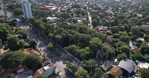 La Nación / Vecinos en defensa del bosquecito de San Vicente, último pulmón verde de un barrio histórico
